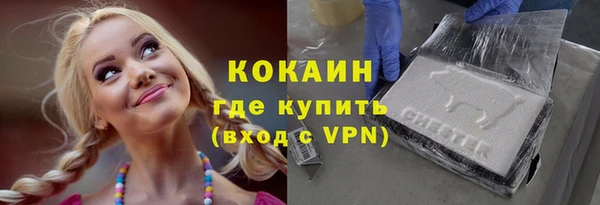 шишки Вязьма