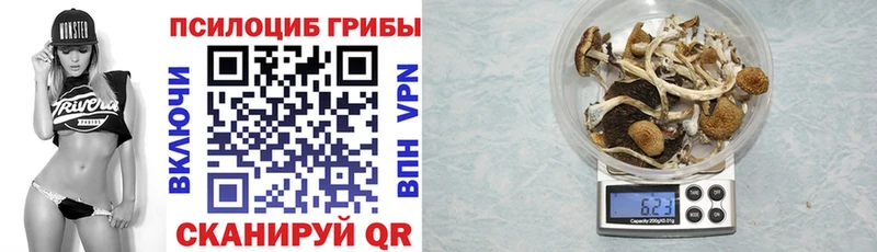 Галлюциногенные грибы мицелий  Елабуга 